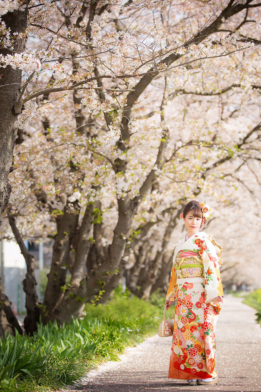 成人式,成人式前撮り,成人振袖,振袖,前撮り,桜,桜ロケ