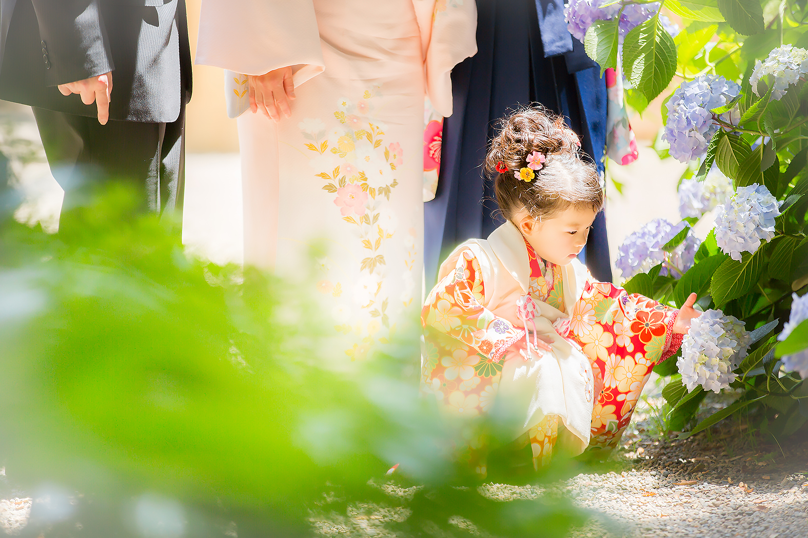 七五三,3歳,着物,姉妹,神社,ロケ,外出,お参り,家族写真