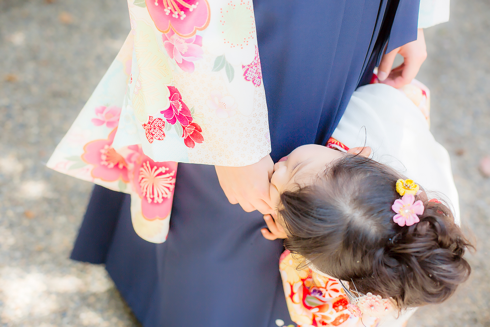 七五三,3歳,着物,姉妹,神社,ロケ,外出,お参り,家族写真