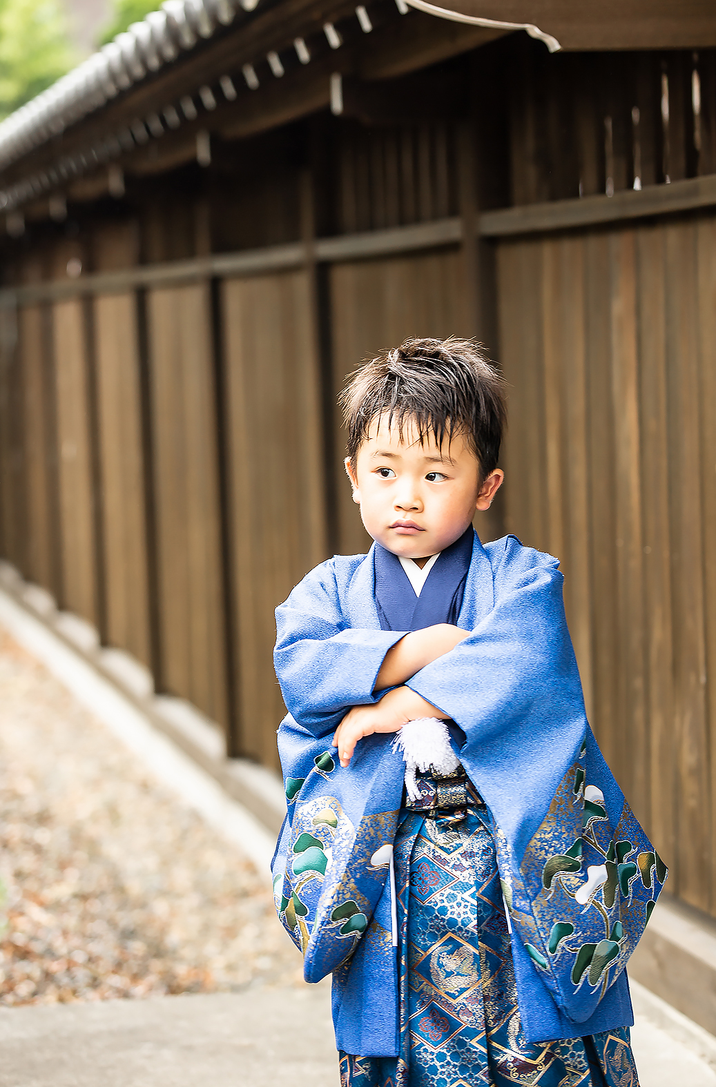 七五三,５歳,着物,前撮り