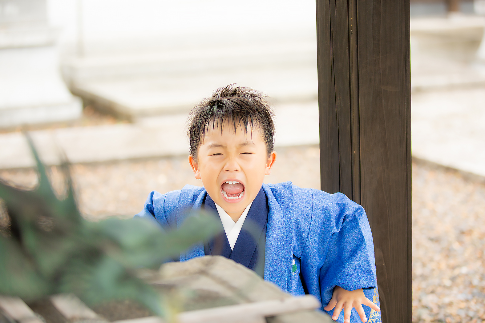 七五三,５歳,着物,前撮り